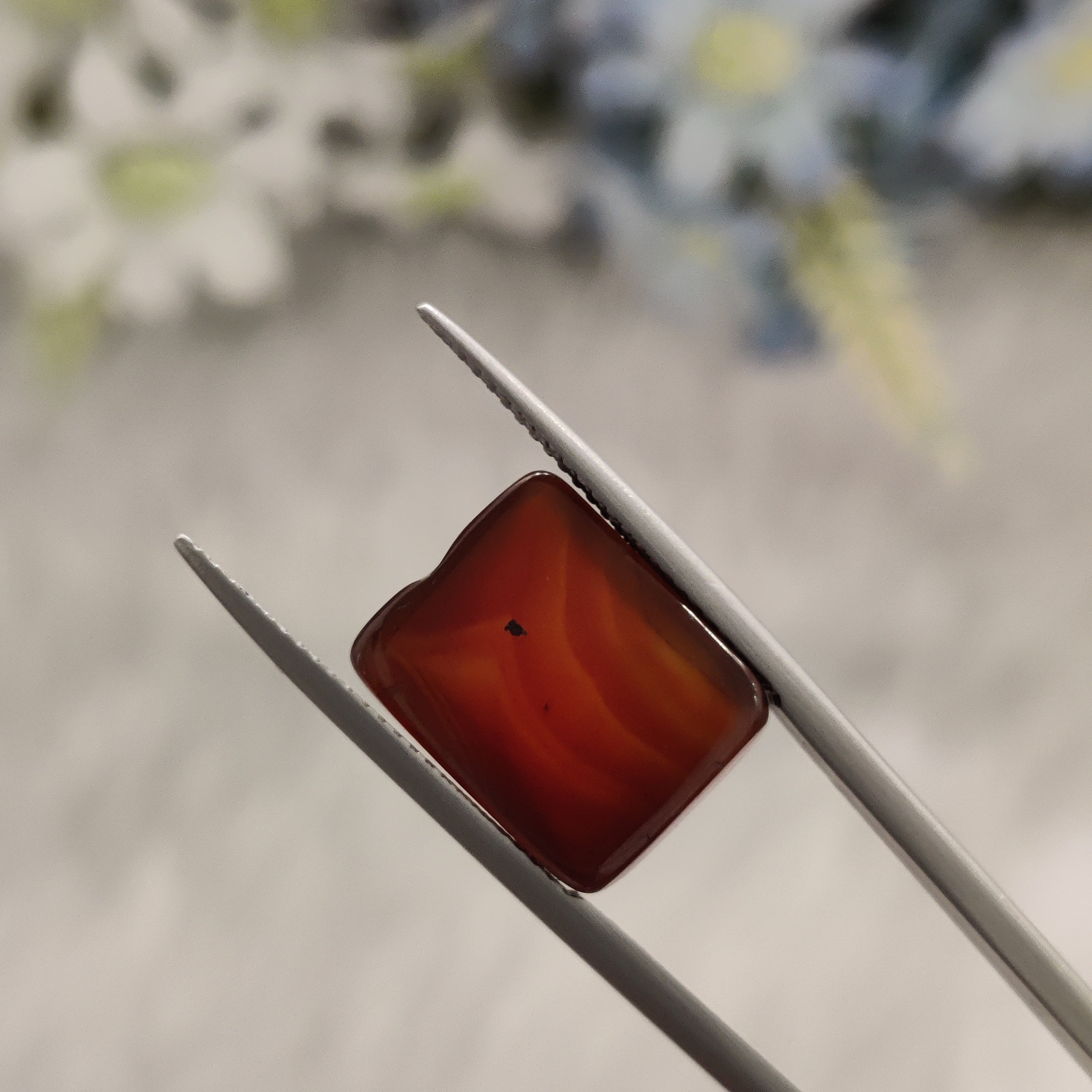 Carnelian | CNL 47 | 11.16 Carat