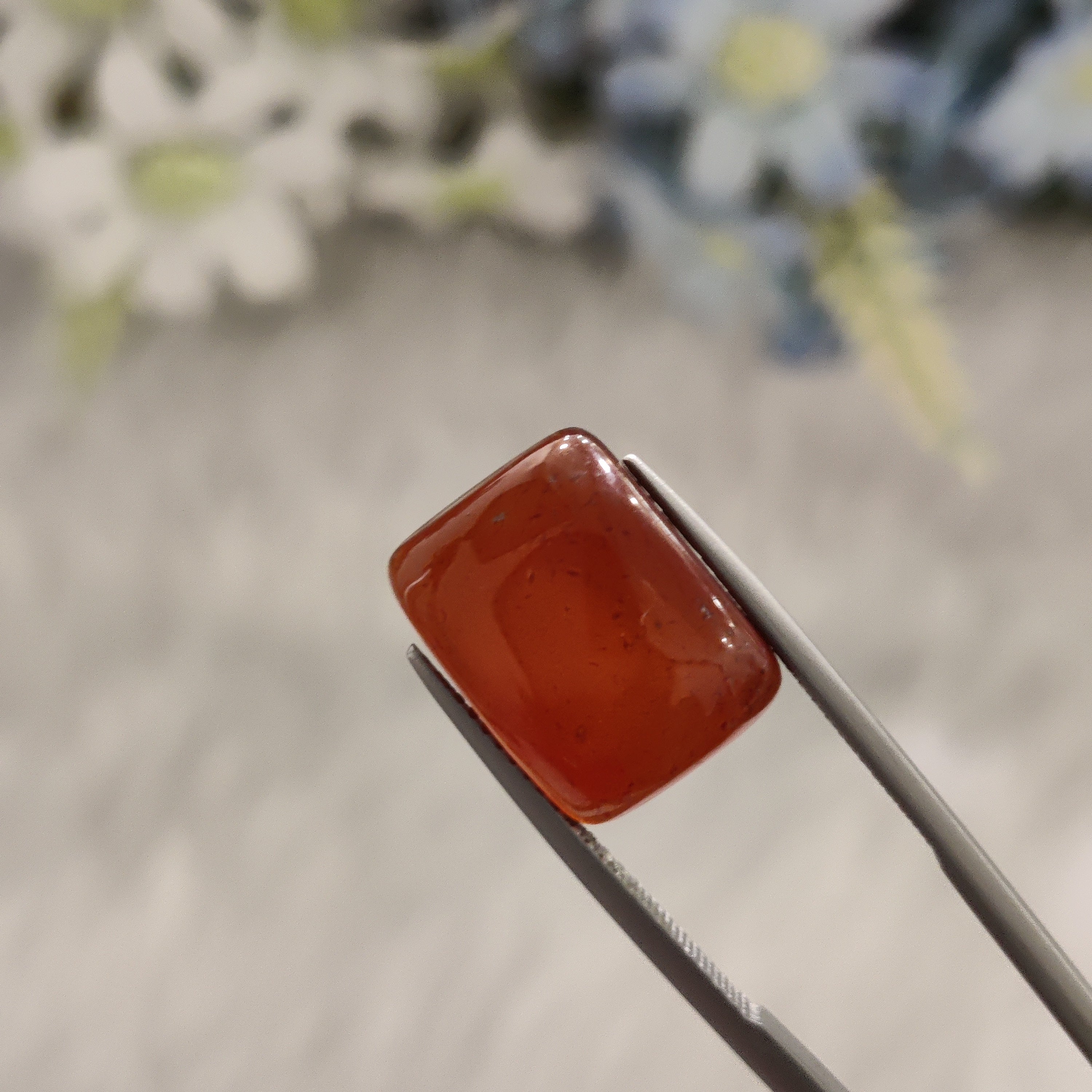 Carnelian | CNL 52 | 12.29 Carat
