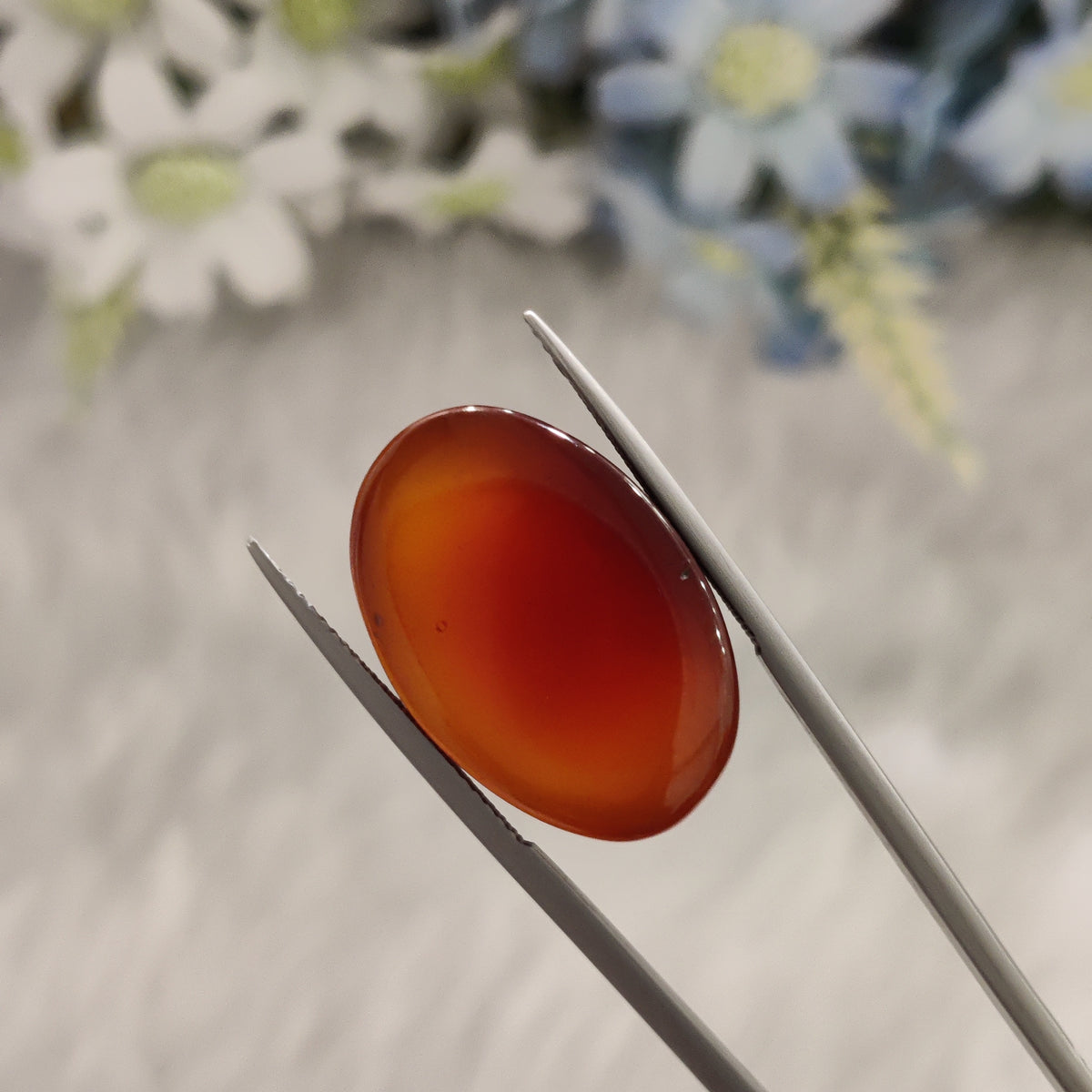 Natural Carnelian | CNL 59 | 23.8 Carat | Certified