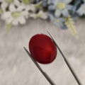 Carnelian | CNL 65 | 24.02 Carat