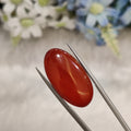 Carnelian | CNL 63 | 22.37 Carat