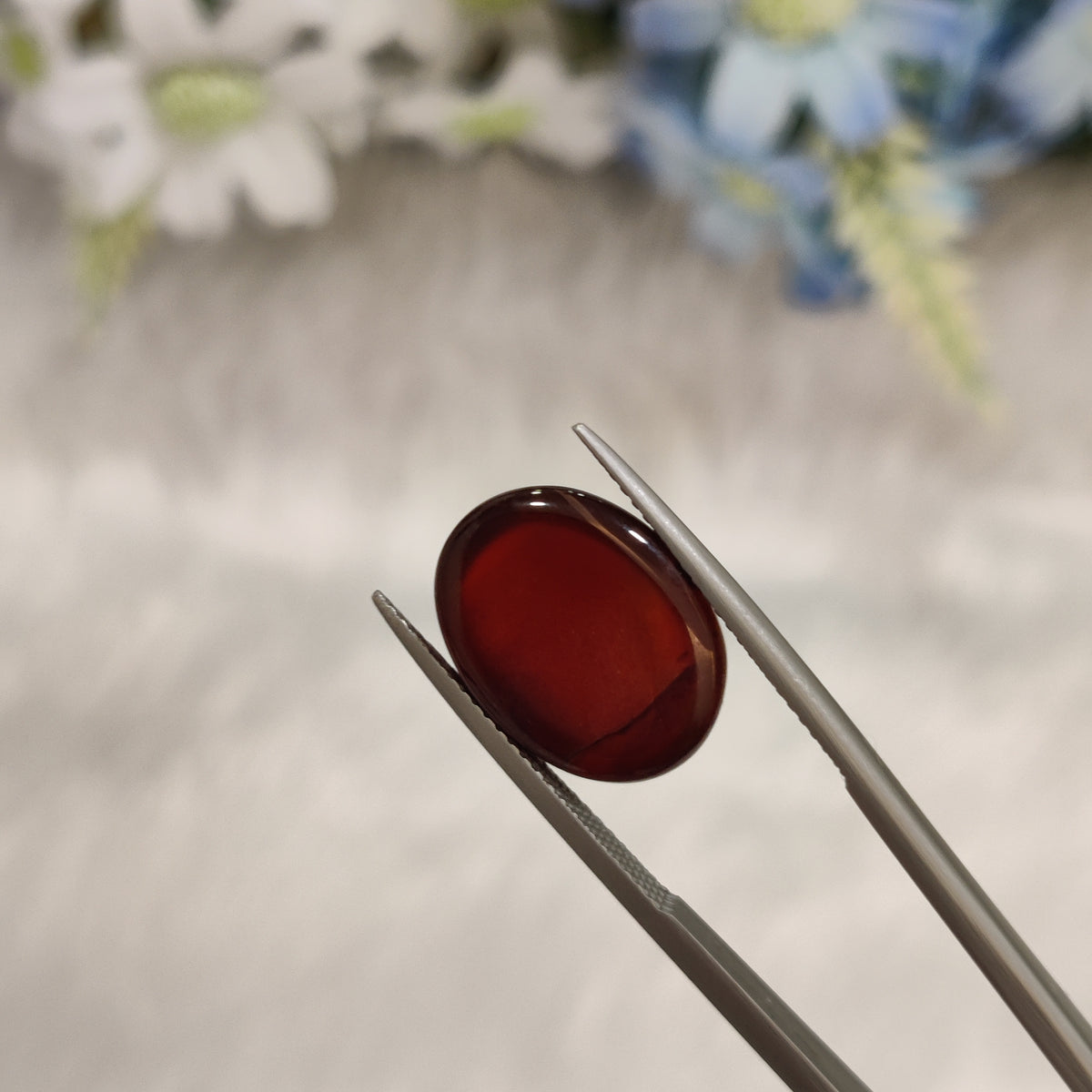 Natural Carnelian | CNL 42 | 10 Carat | Certified