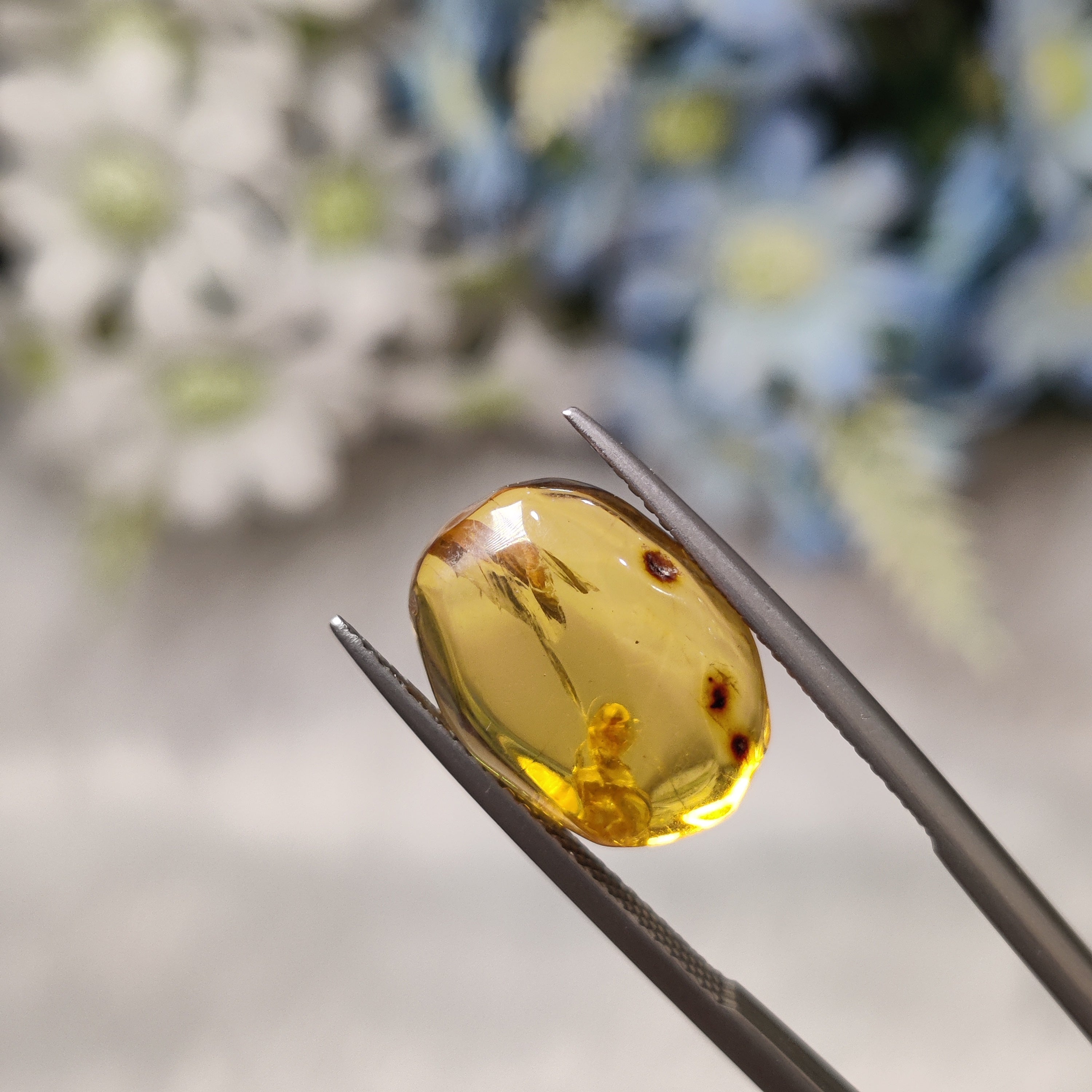 Amber | Amber 5 | 3.9 Carat