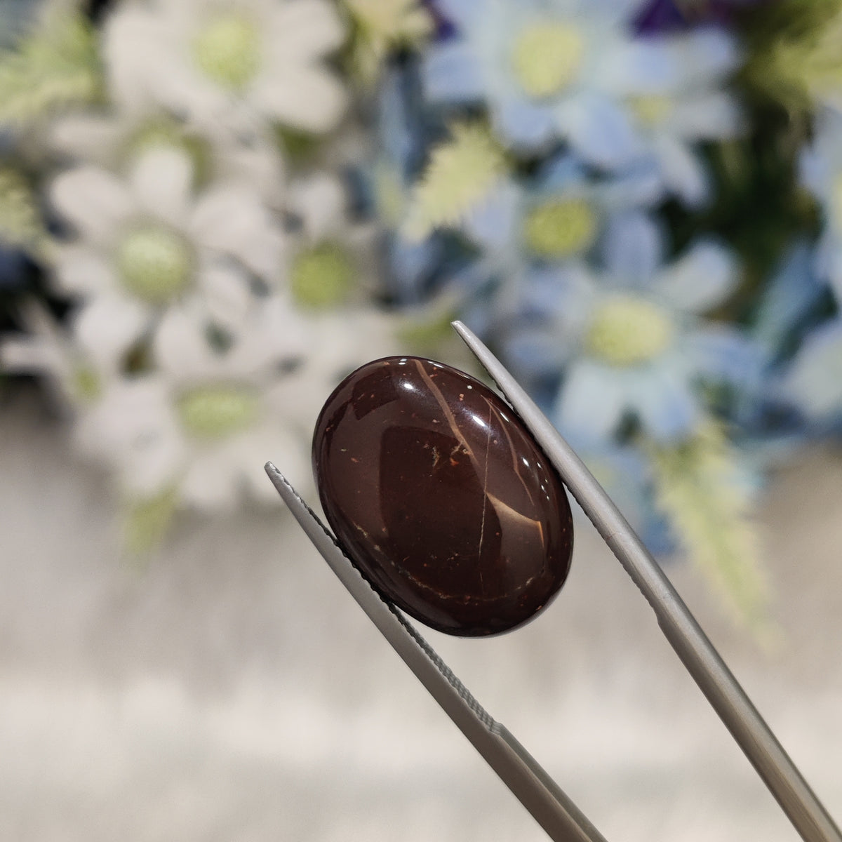 Natural Red Jasper | RJ 6 | 8.96 Carat | Certified