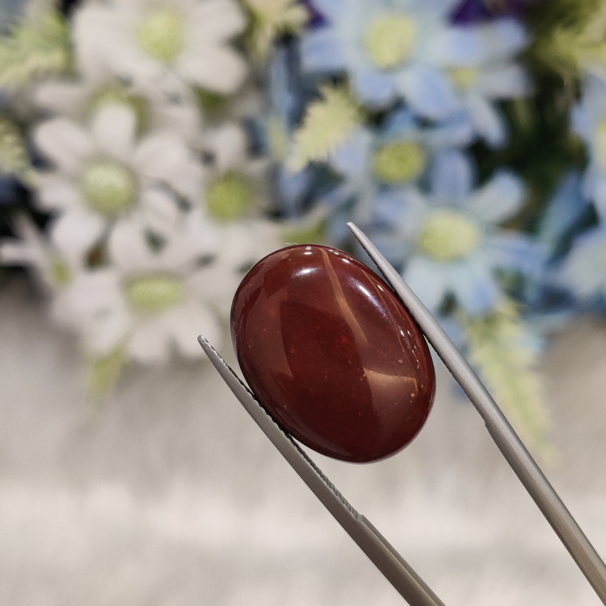 Natural Red Jasper | RJ 8 | 13.32 Carat | Certified