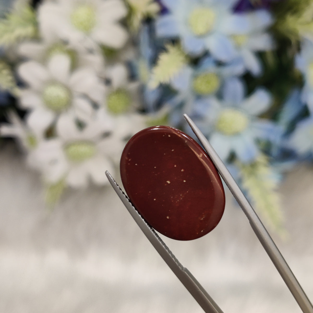 Natural Red Jasper | RJ 8 | 13.32 Carat | Certified