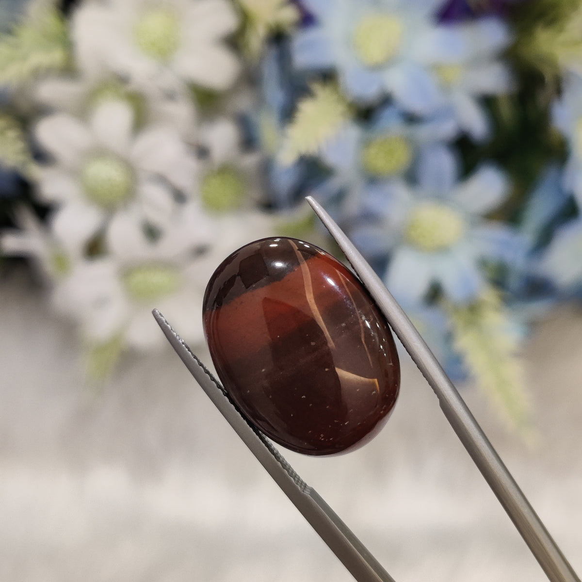 Natural Red Jasper | RJ 3 | 13.62 Carat | Certified