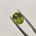 Peridot  | Peridot 1 | 4.11 Carat