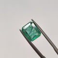 Emerald | EM 295 | 2.69 Carat