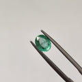 Emerald | EM 356 | 0.94 Carat