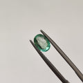Emerald | EM 363 | 0.82 Carat