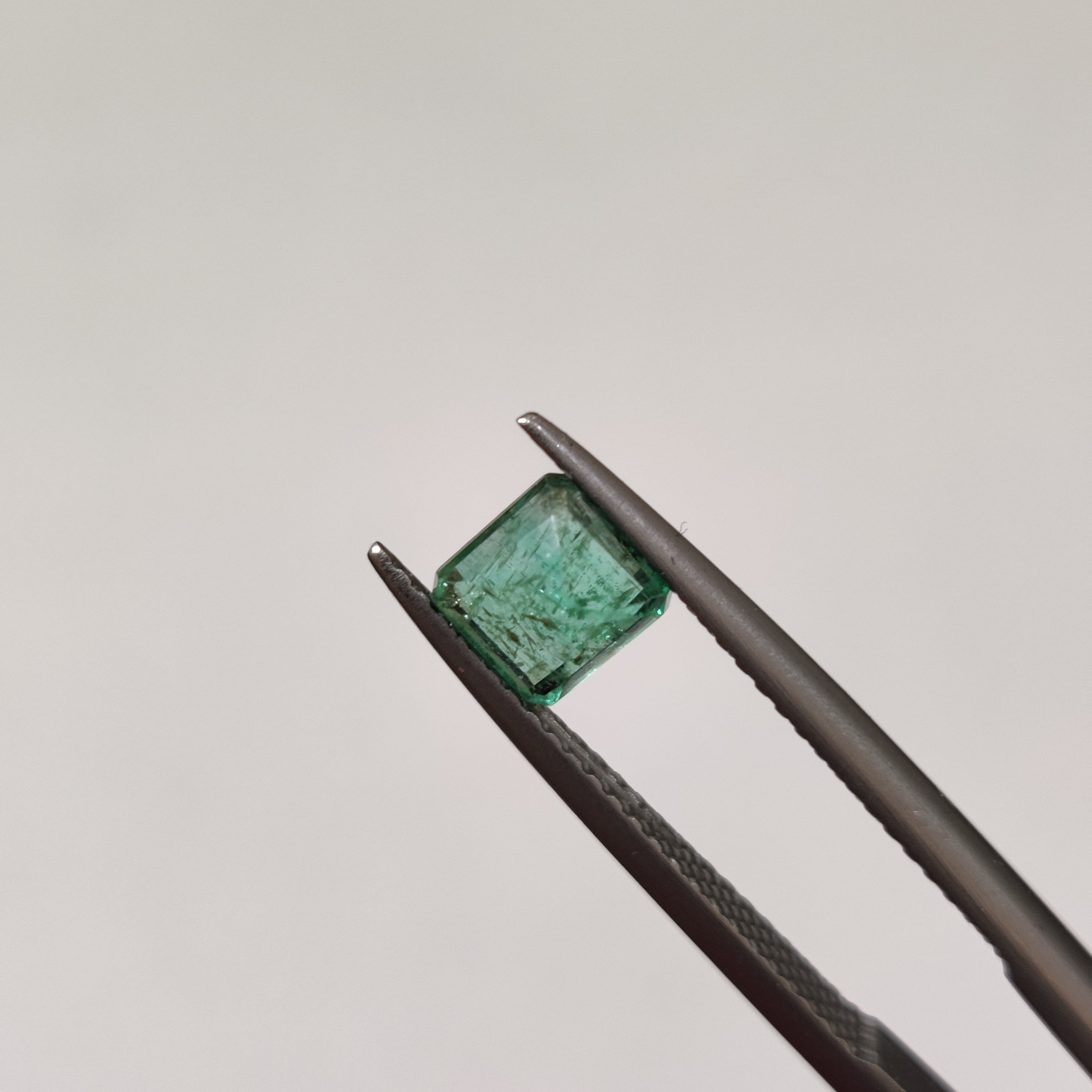 Emerald | EM 391 | 0.91 Carat