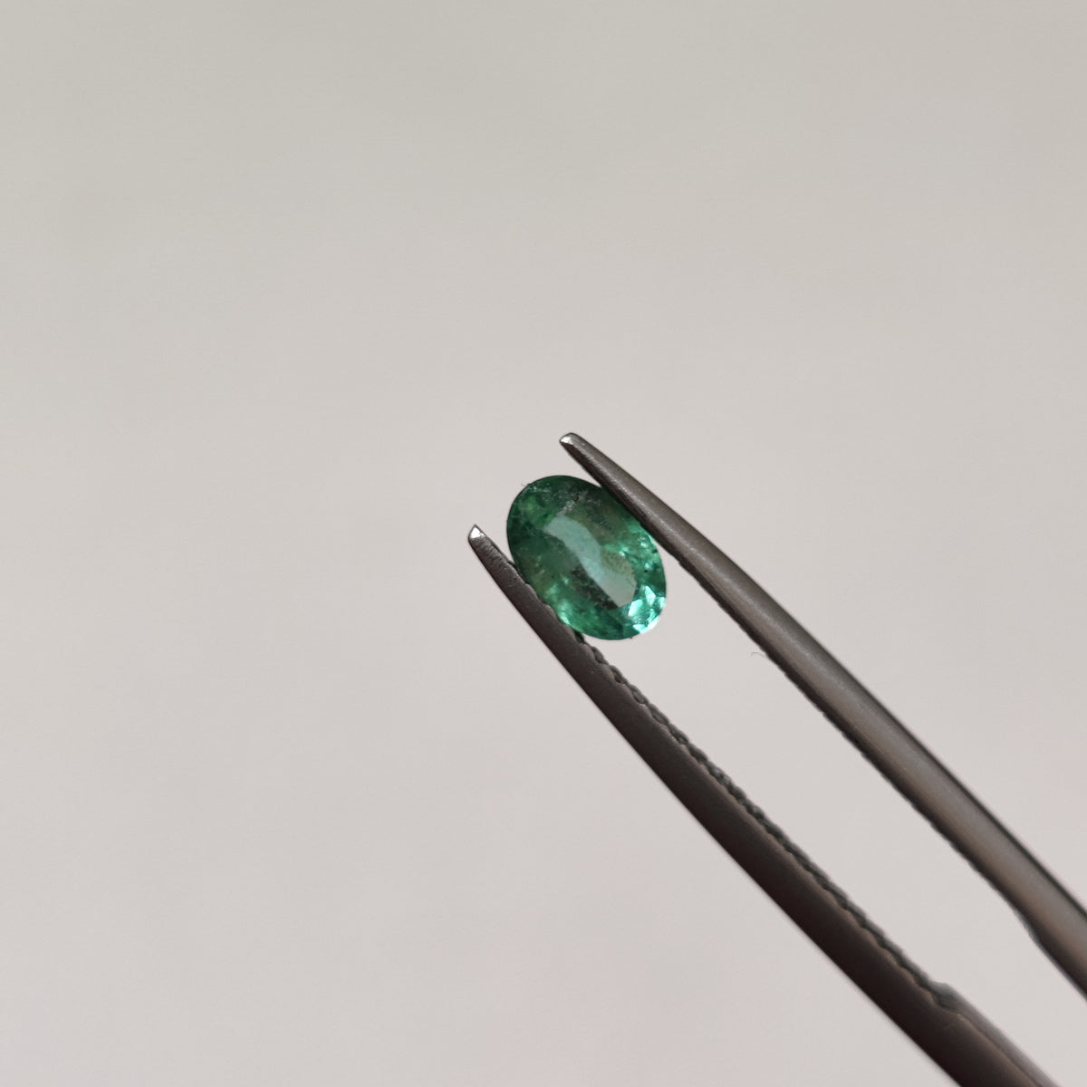 Natural Emerald (Panna) EM 371 | 0.4 Carats | Certified