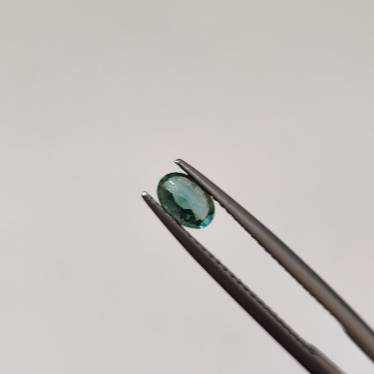 Natural Emerald (Panna) EM 371 | 0.4 Carats | Certified
