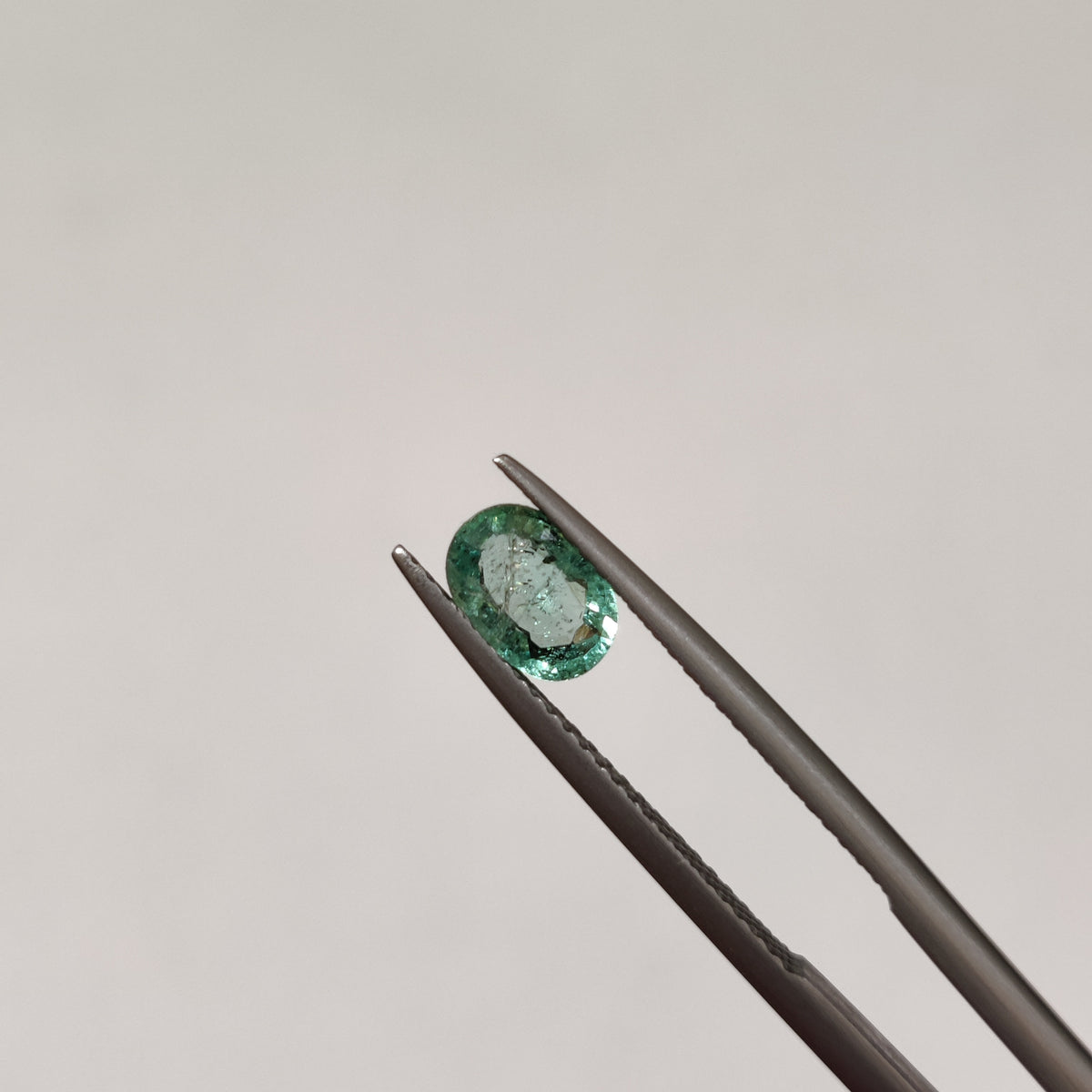 Natural Emerald (Panna) EM 364 | 0.64 Carats | Certified