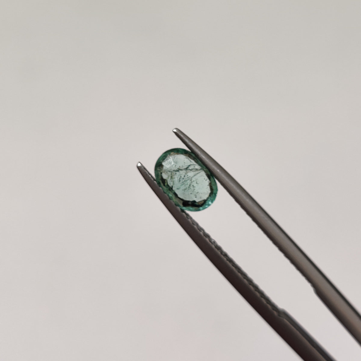 Natural Emerald (Panna) EM 364 | 0.64 Carats | Certified