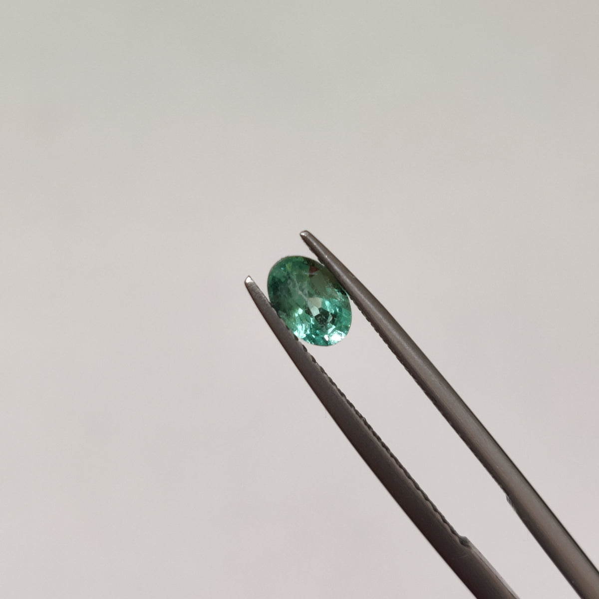 Natural Emerald (Panna) | EM 355 | 0.54 Carats | Certified