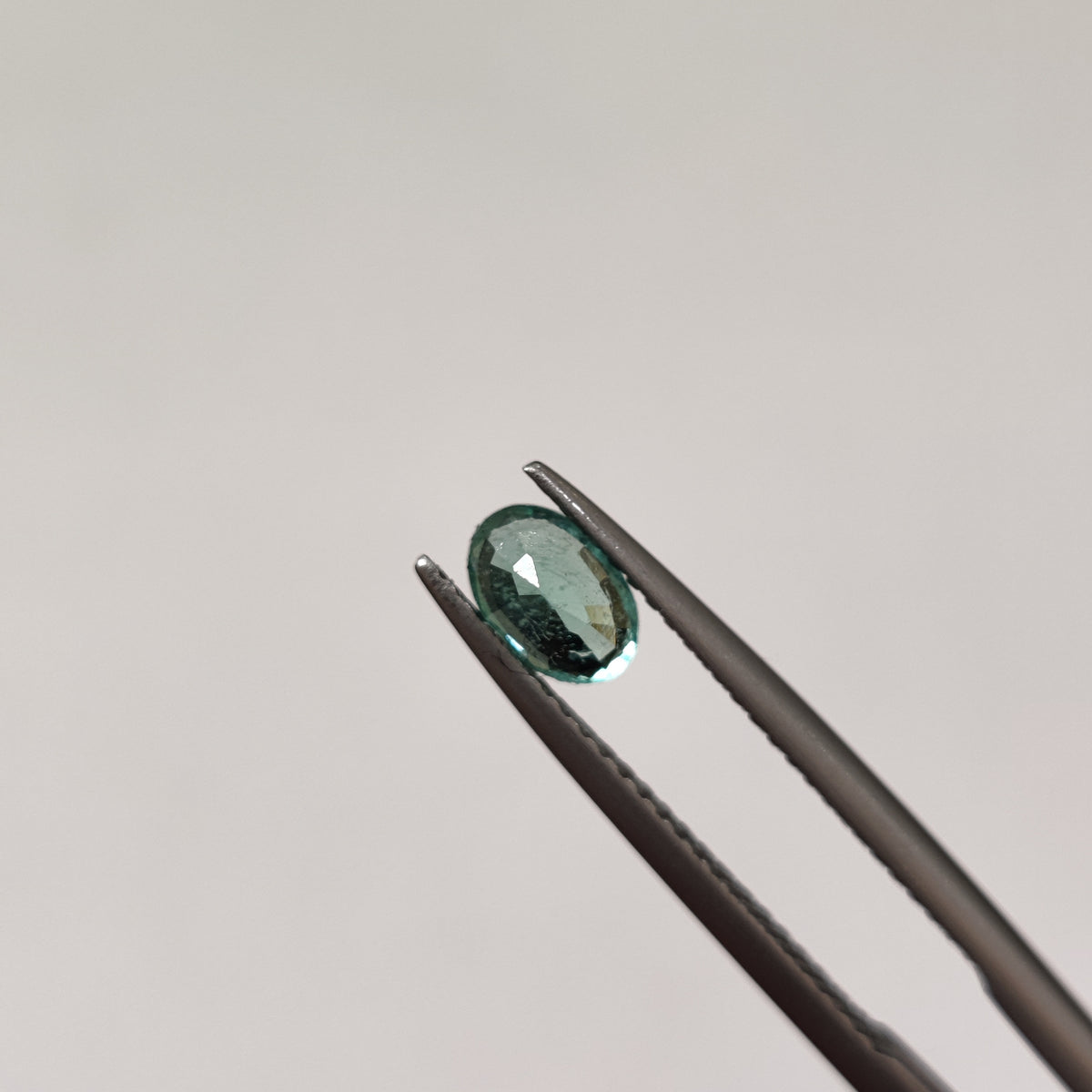 Natural Emerald (Panna) | EM 355 | 0.54 Carats | Certified
