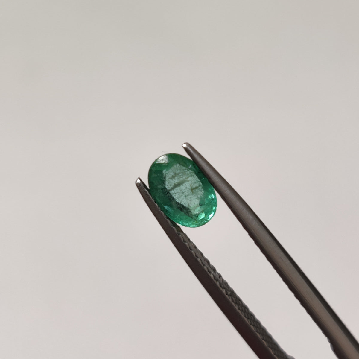 Natural Emerald (Panna) | EM 358 | 0.7 Carat | Certified