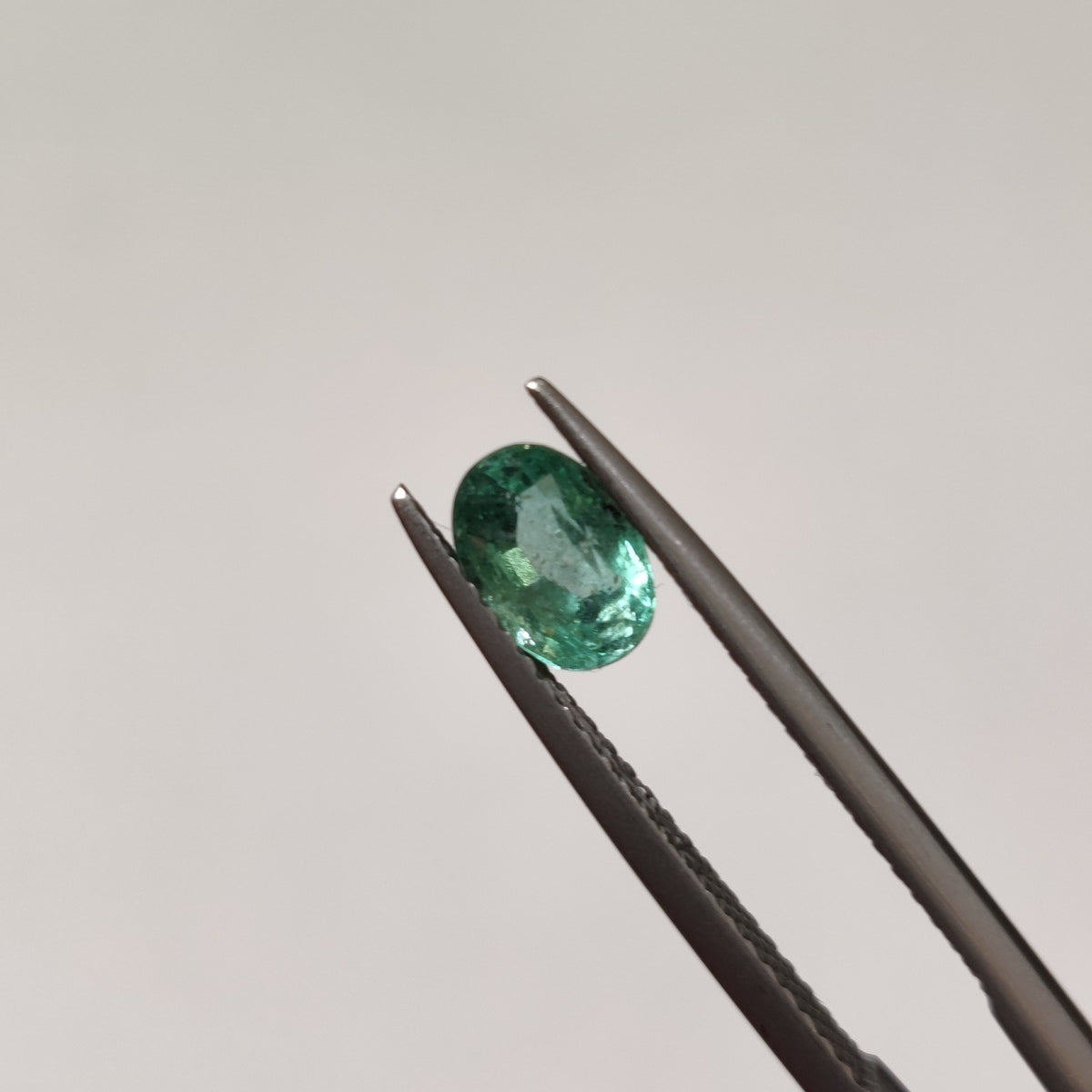 Natural Emerald (Panna) | EM 366 | 0.71 Carat | Certified