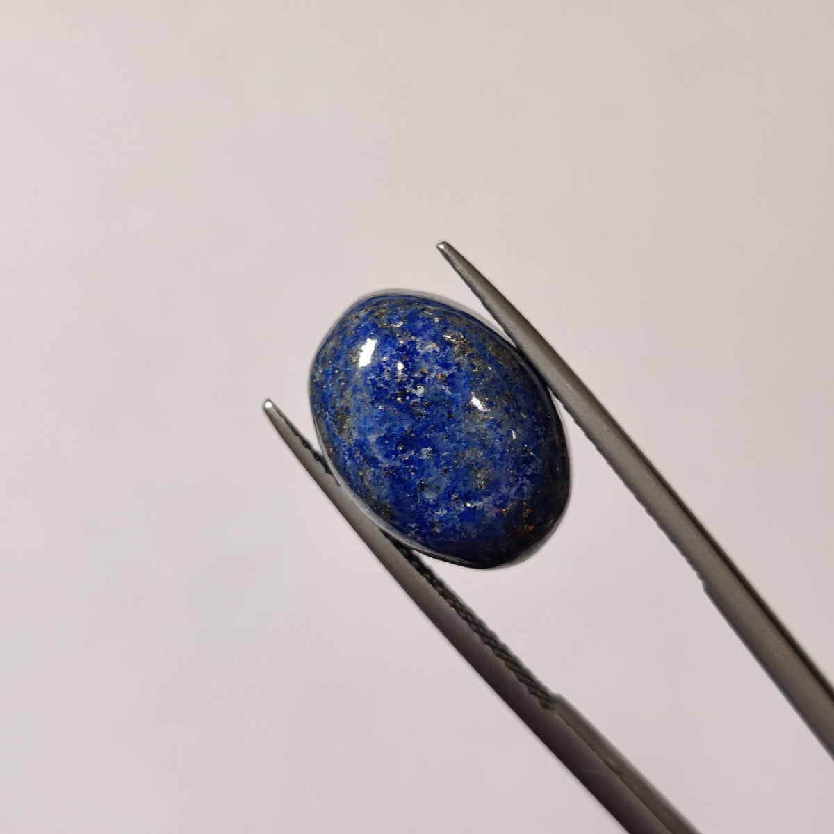 Natural Lapis Lazuli (Lajward) | Lapis 49 | 12.74 Carat | Certified