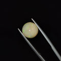 Opal | OPAL 114 | 2.62 Carat