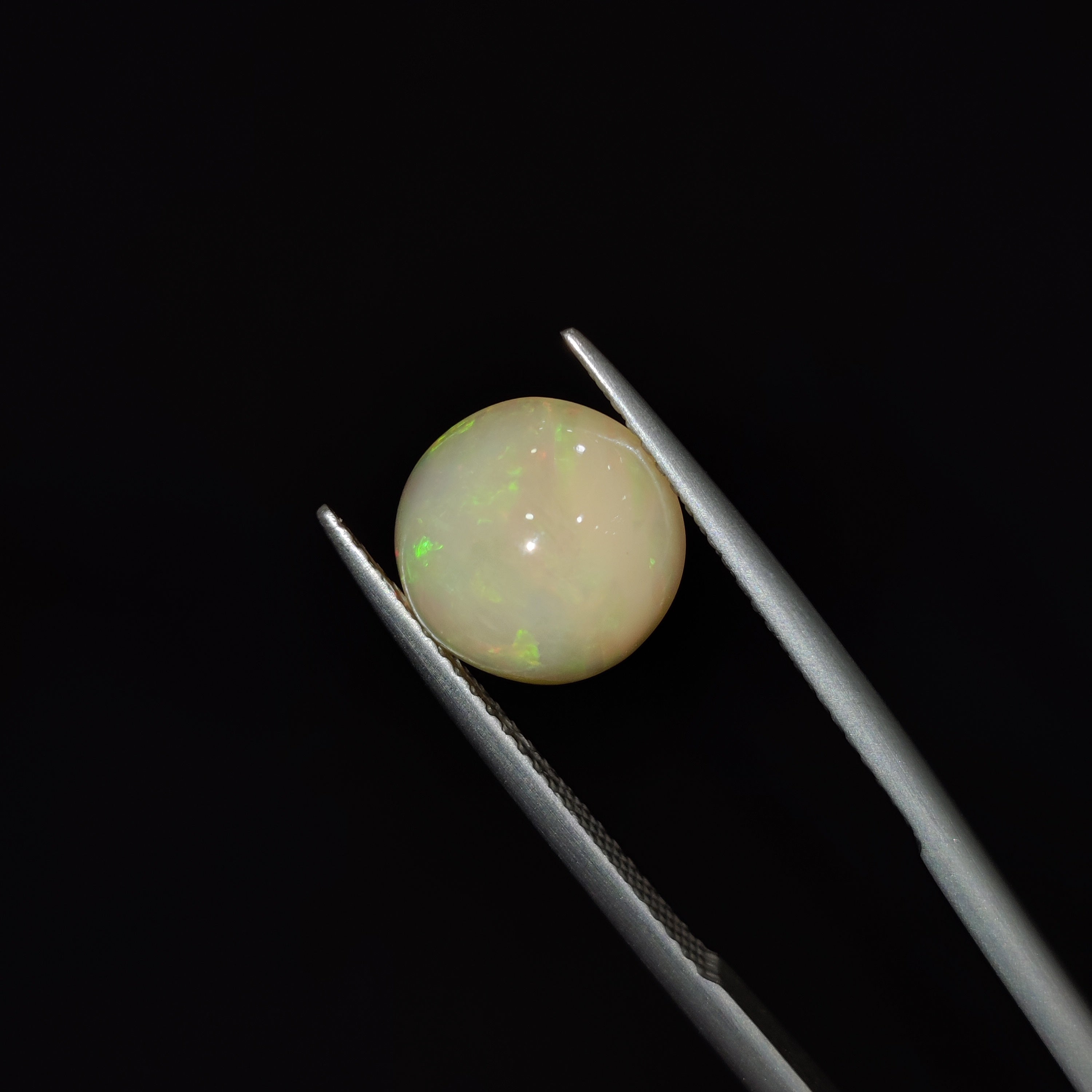 Opal | OPAL 114 | 2.62 Carat