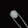 Opal | OPAL 121 | 2.34 Carat