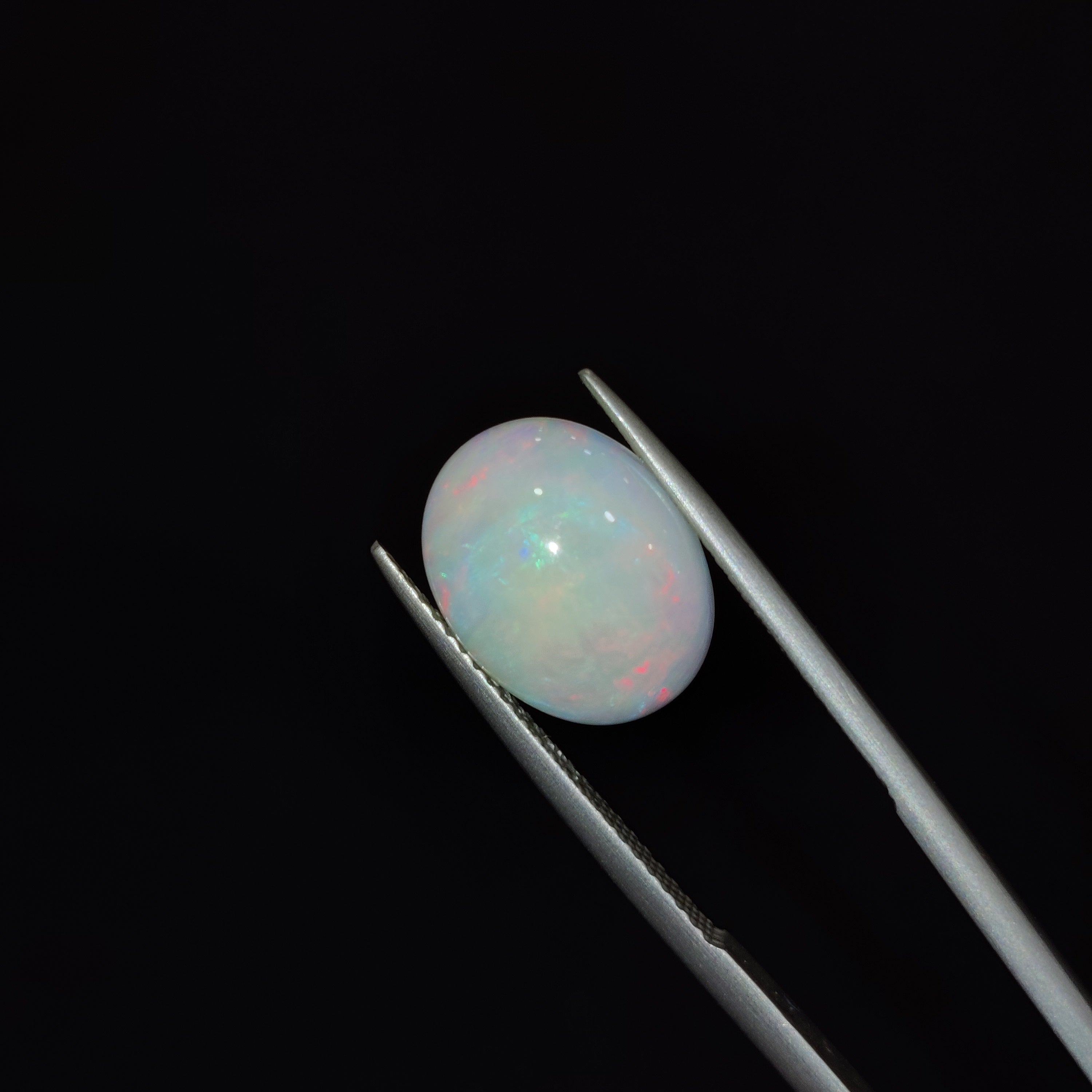 Opal | OPAL 39 | 2.84 Carat