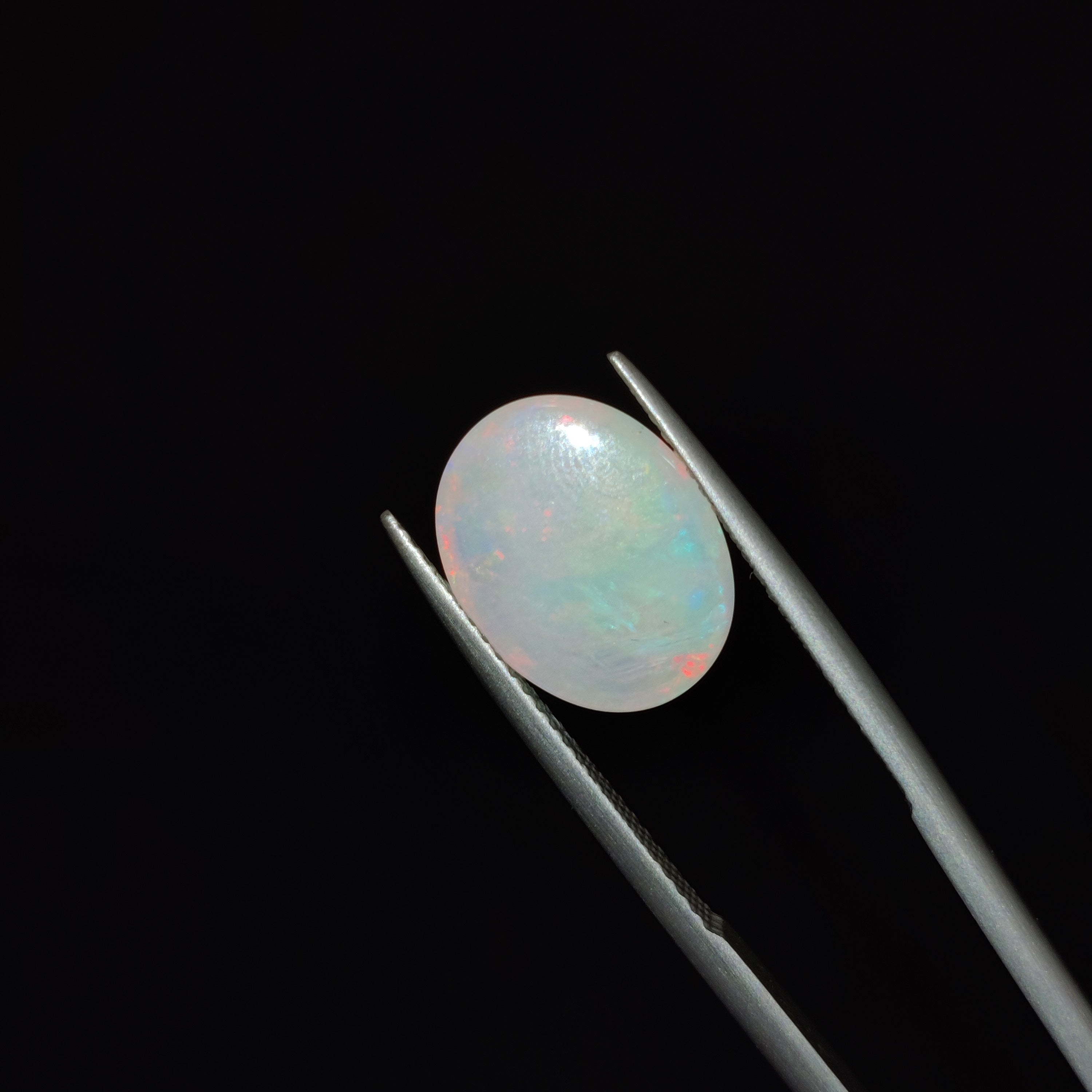 Opal | OPAL 39 | 2.84 Carat