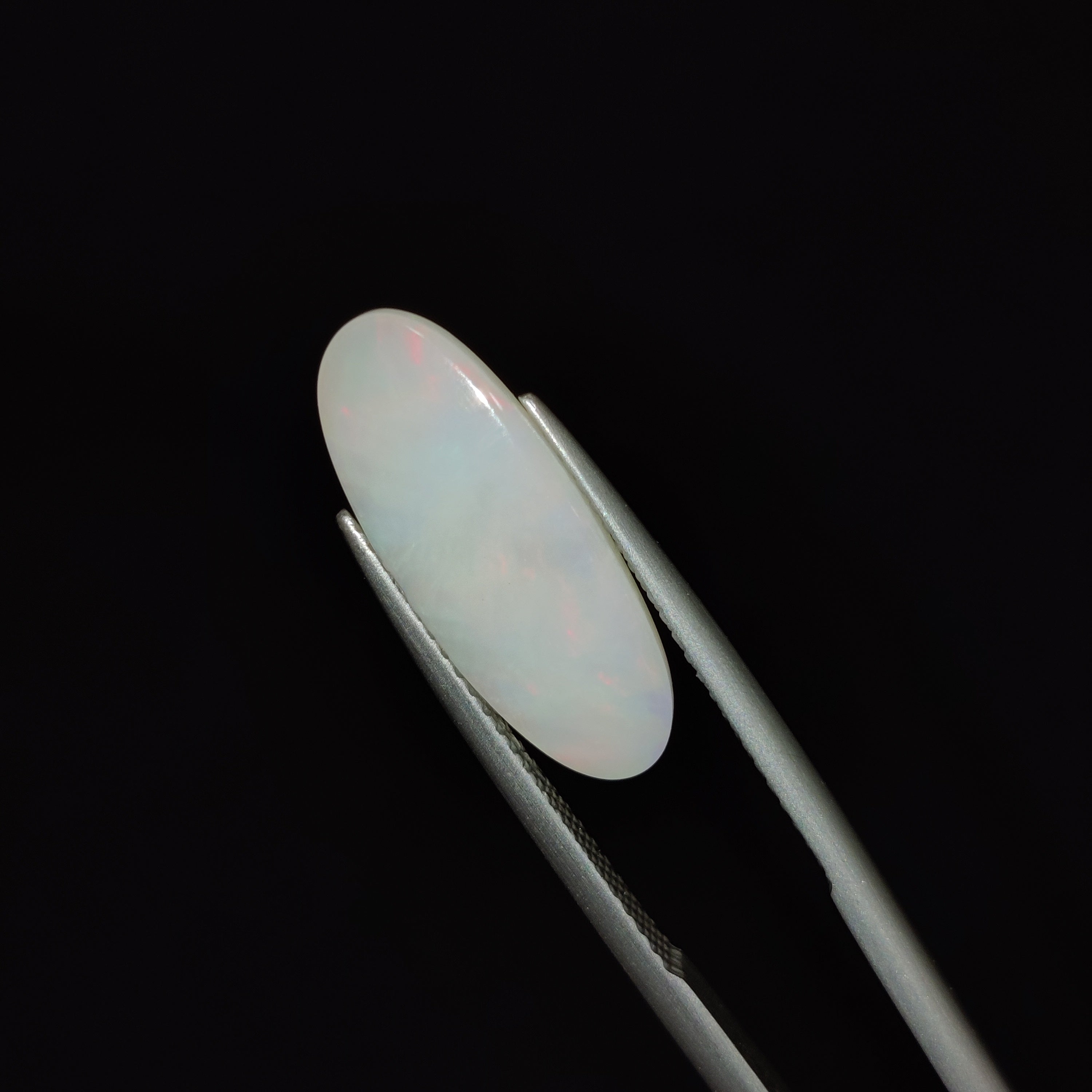 Opal | OPAL 103 | 3.32 Carat