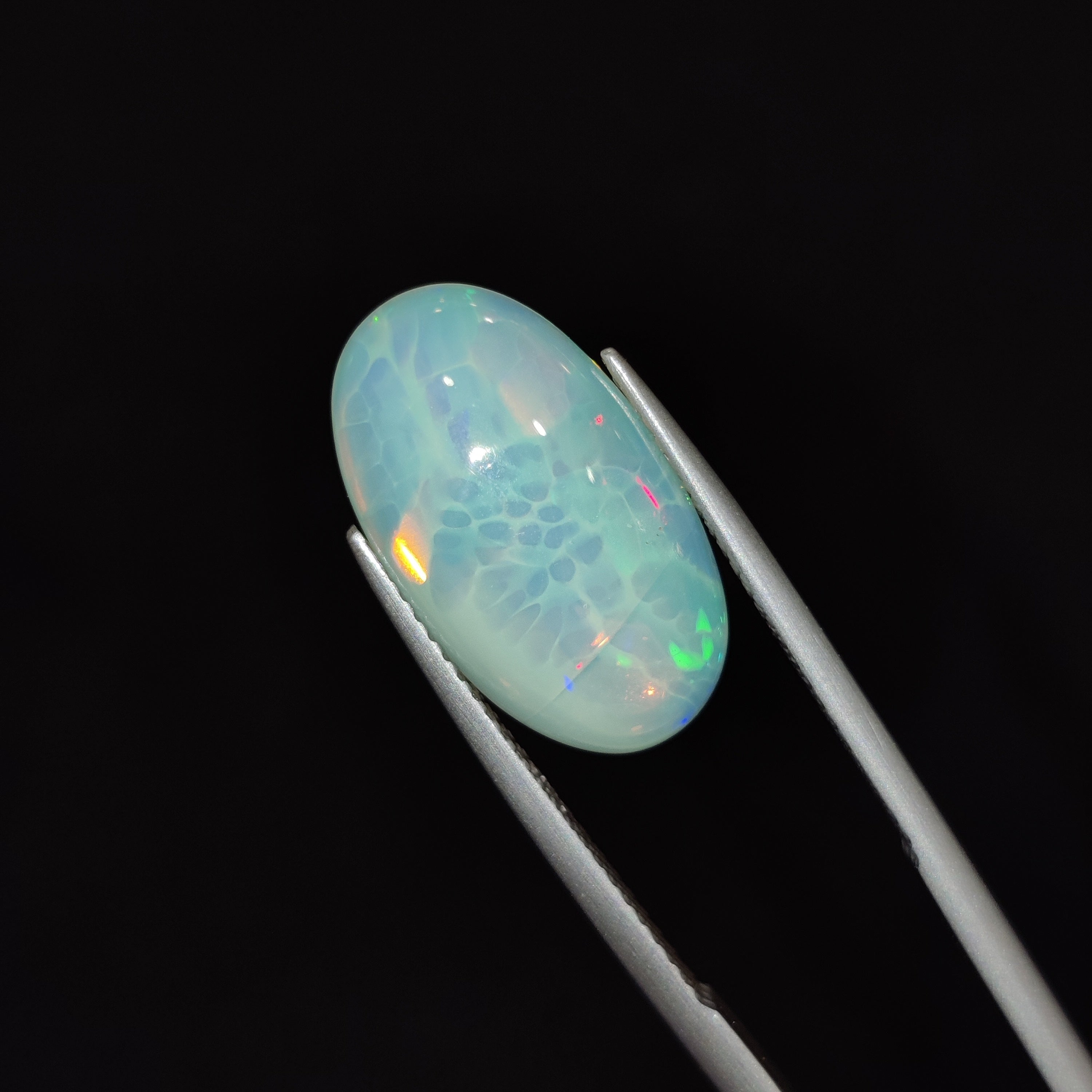 Opal | OPAL 119 | 3.66 Carat