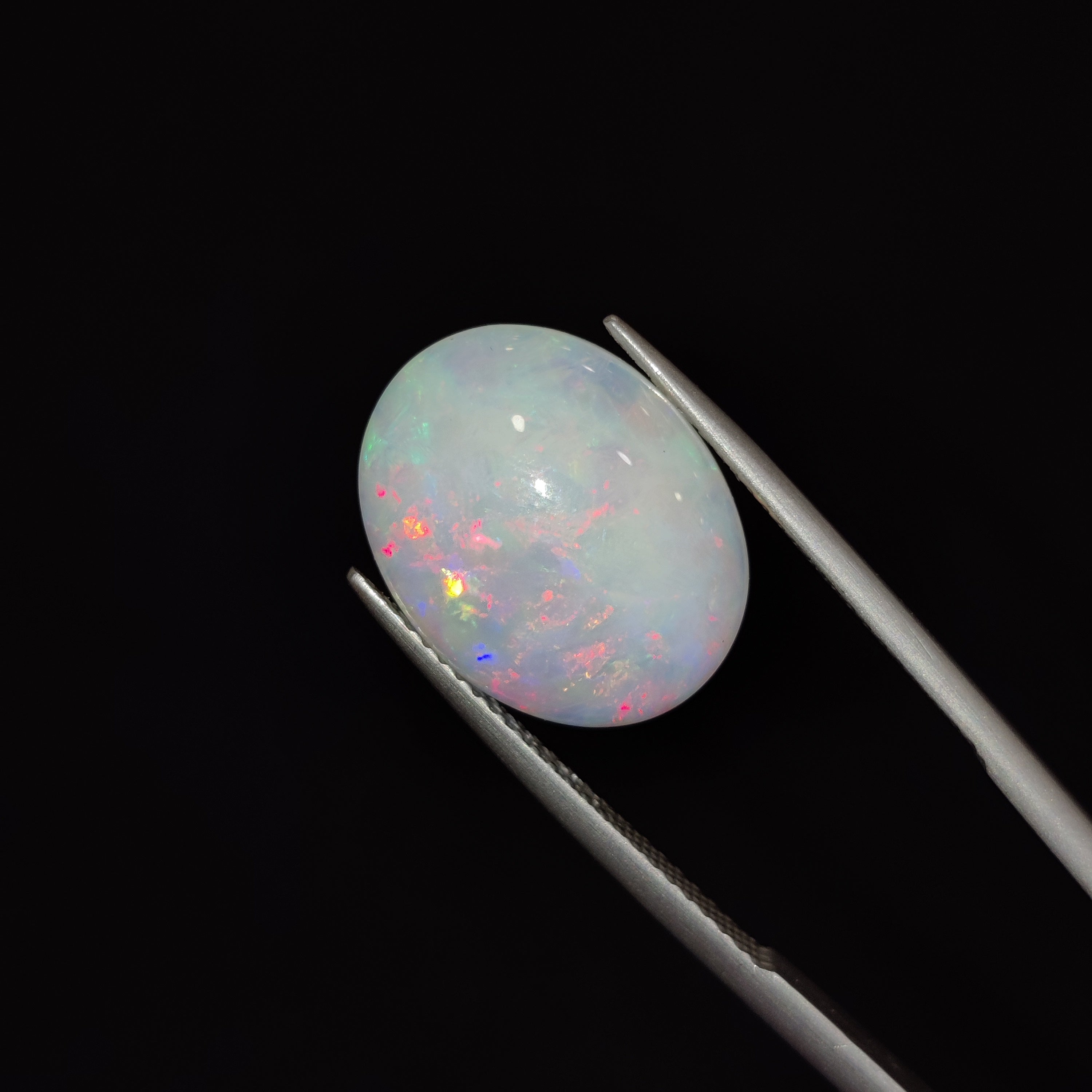 Opal | OPAL 50 | 4.98 Carat