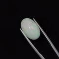 Opal | OPAL 117 | 5.76 Carat