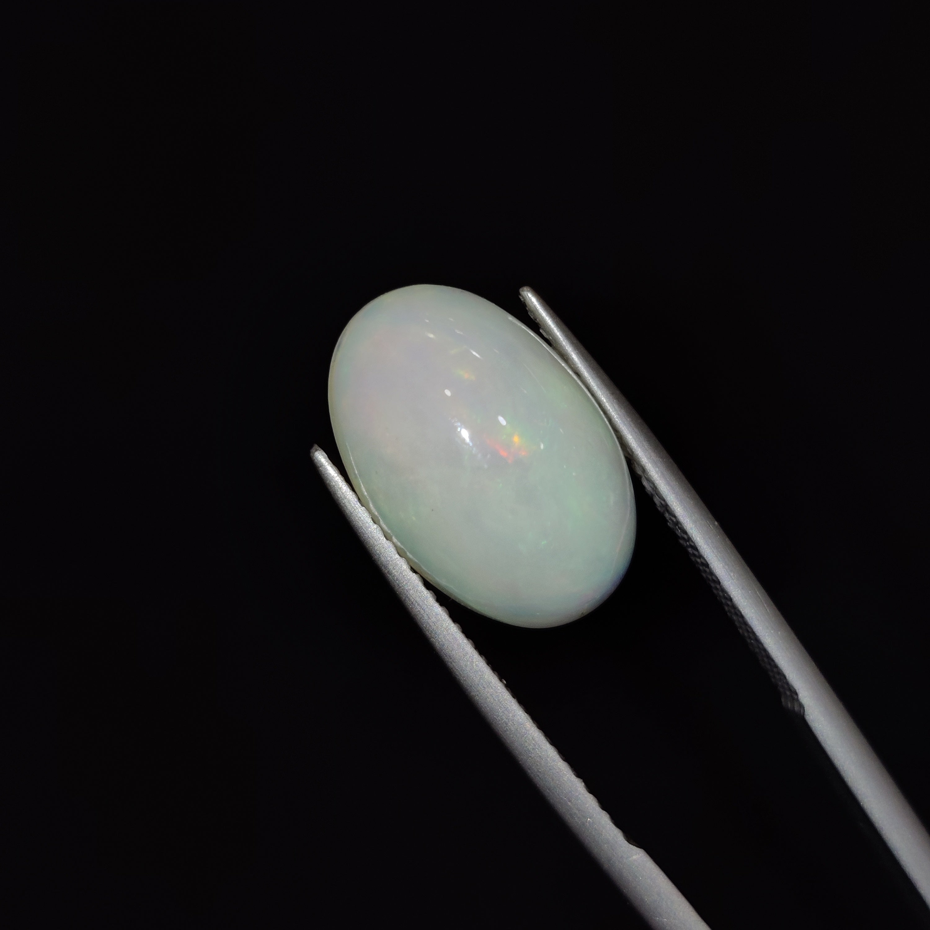 Opal | OPAL 117 | 5.76 Carat