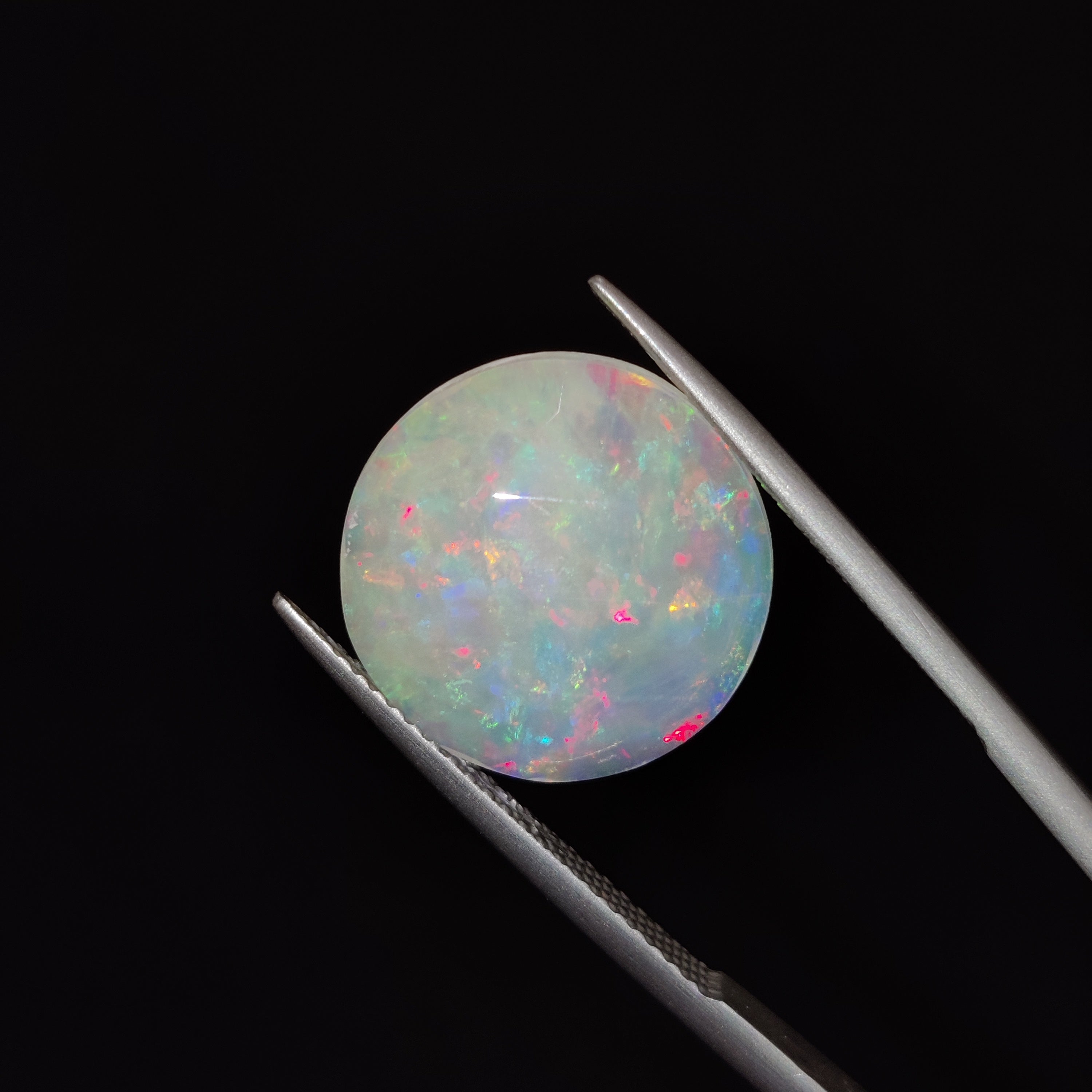 Opal | OPAL 83 | 3.76 Carat