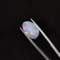Opal | OPAL 86 | 1.66 Carat