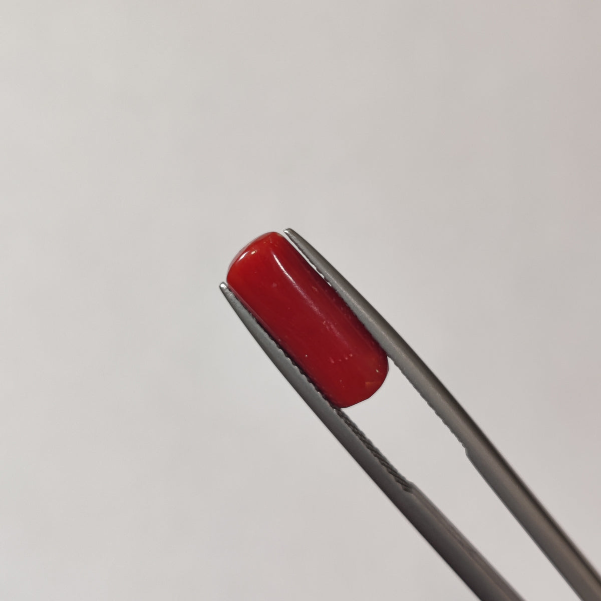 Natural Coral (Moonga) | Coral 109 | 4.01 Carat | Certified