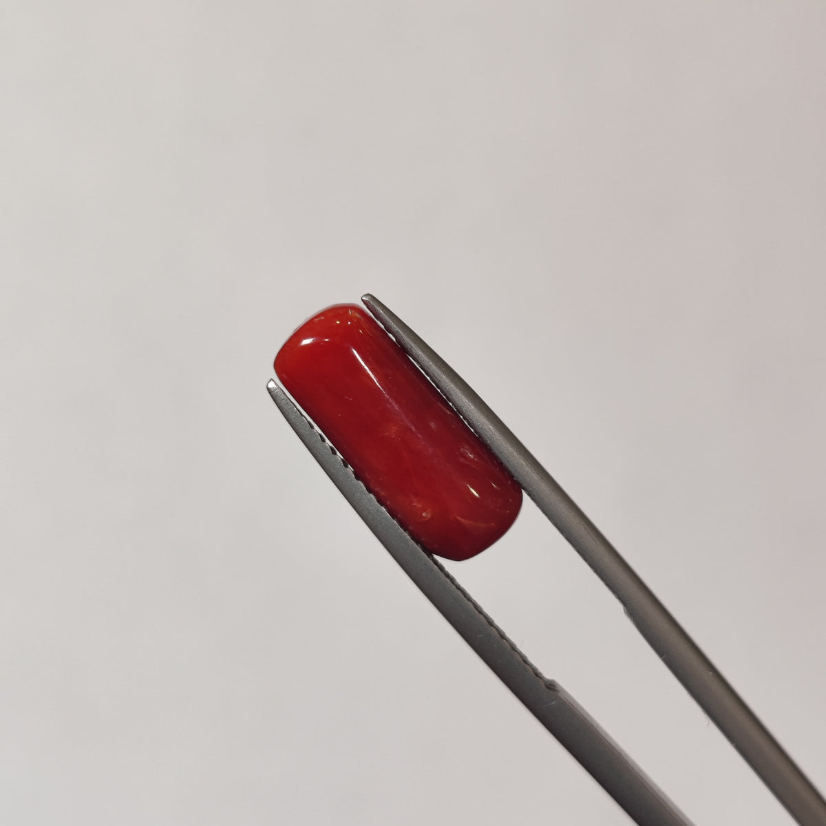 Natural Coral (Moonga) | Coral 109 | 4.01 Carat | Certified