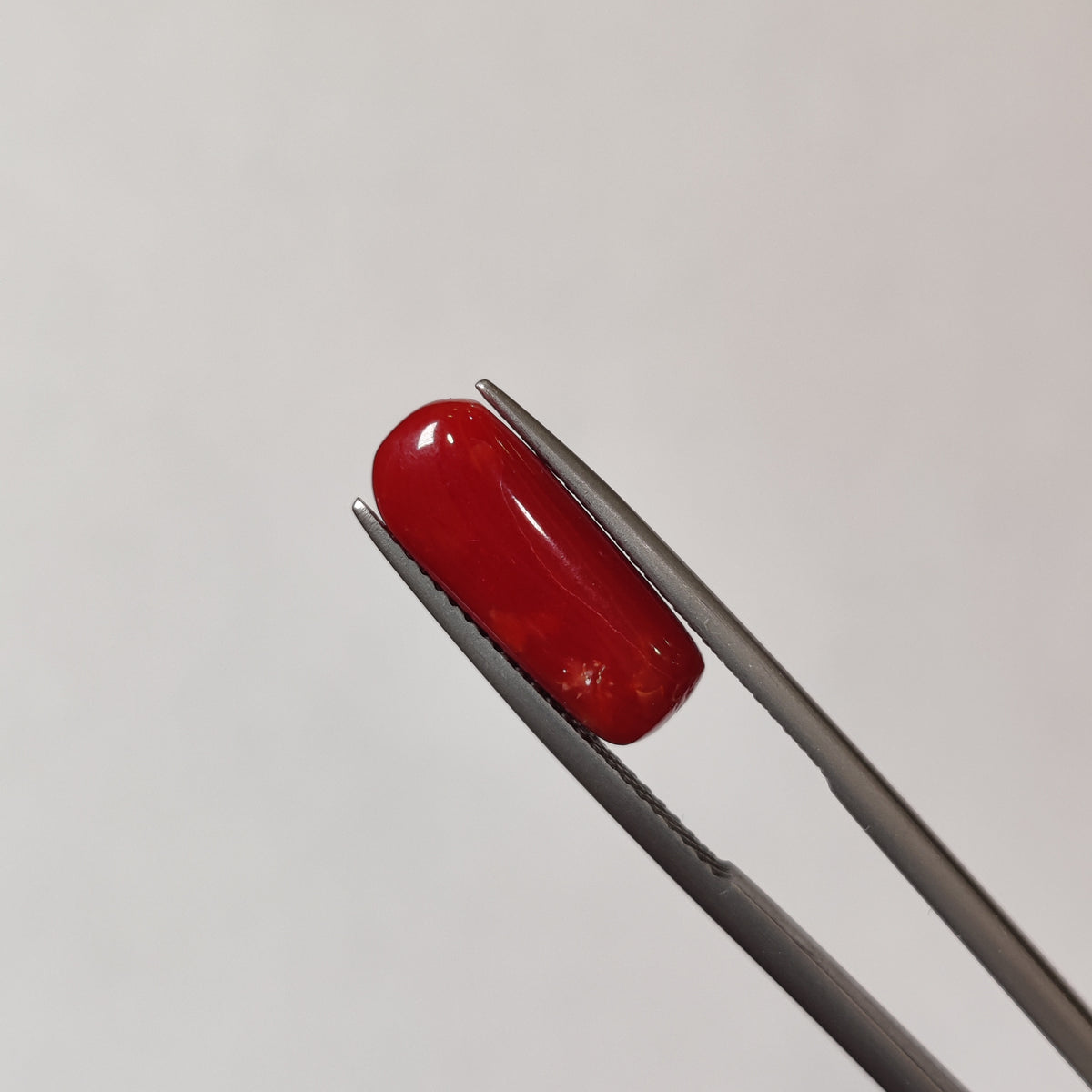 Natural Coral (Moonga) | Coral 104 | 4.72 Carat | Certified