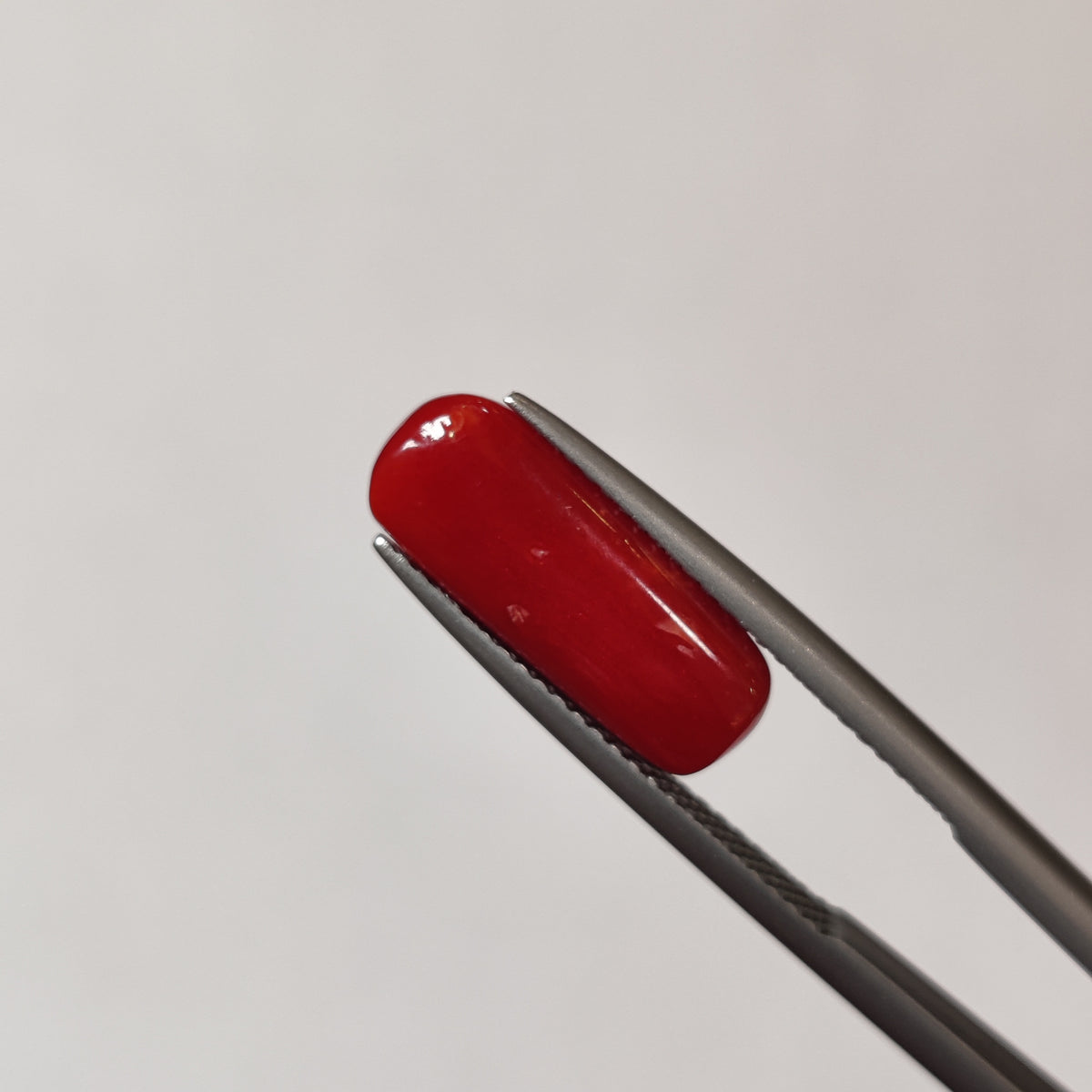 Natural Coral (Moonga) | Coral 104 | 4.72 Carat | Certified