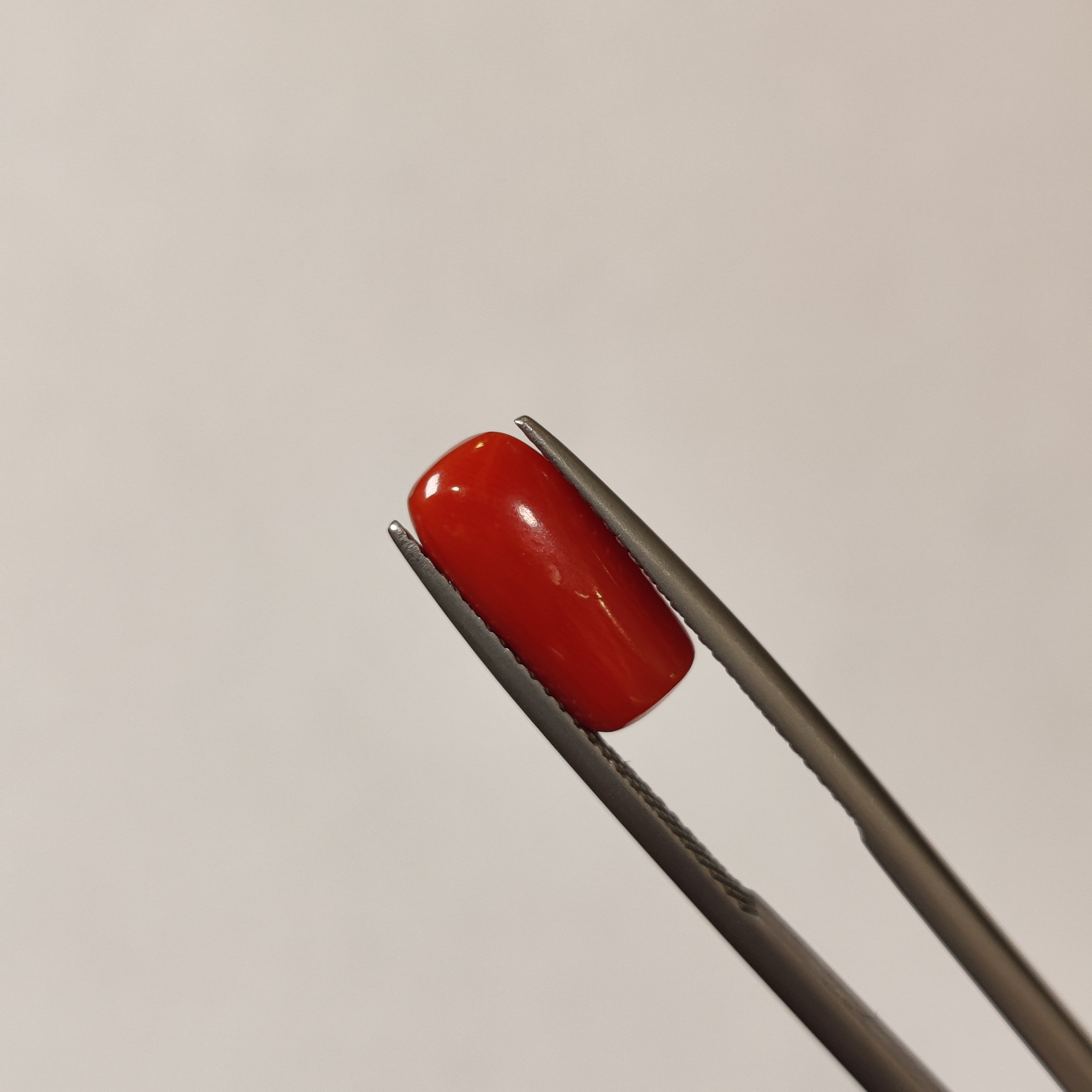 Coral | CORAL 108 | 3.45 Carat