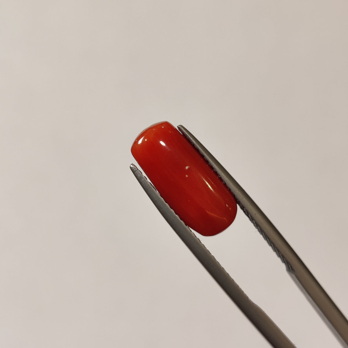 Natural Coral (Moonga) | Coral 115 | 3.89 Carat | Certified