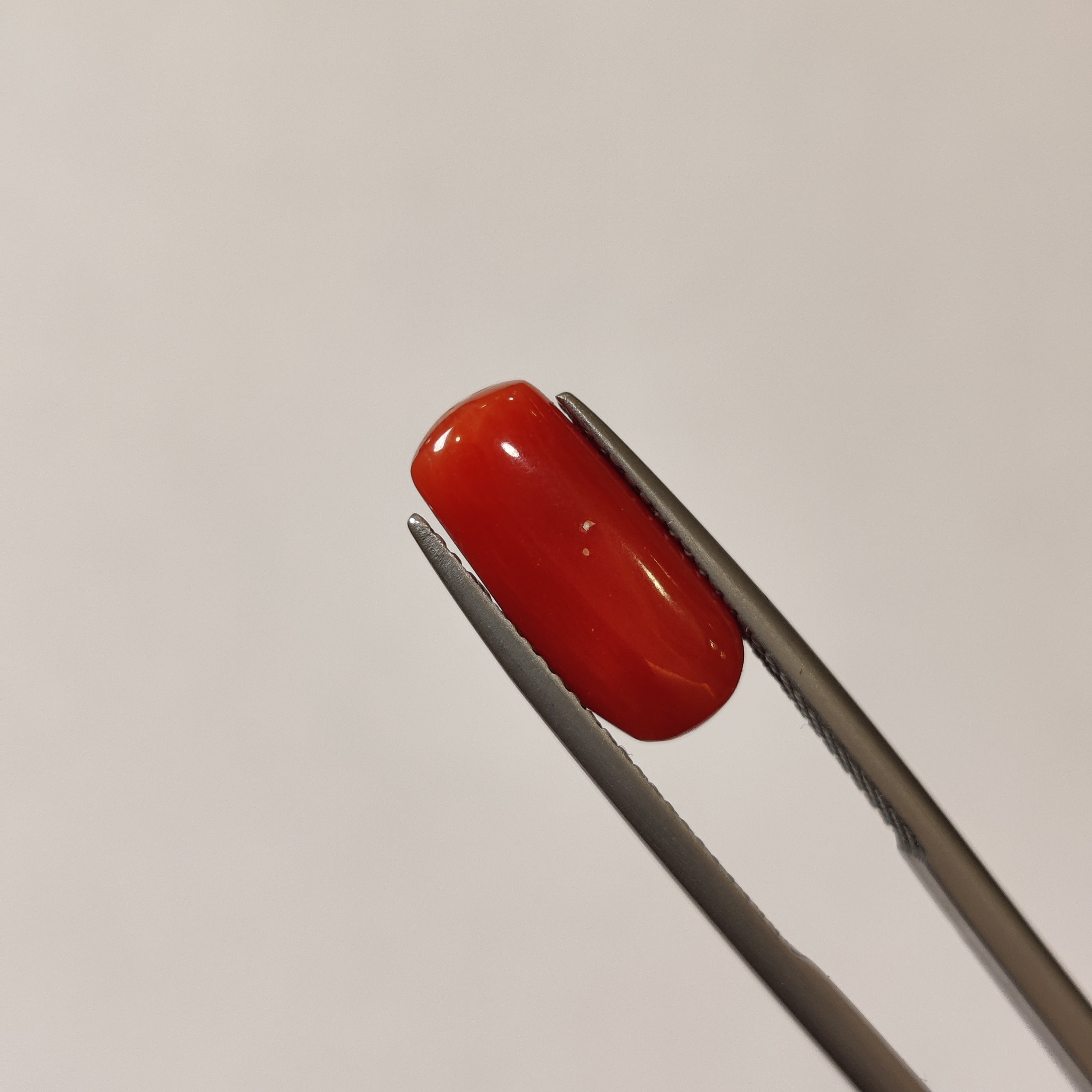 Coral | CORAL 115 | 3.89 Carat