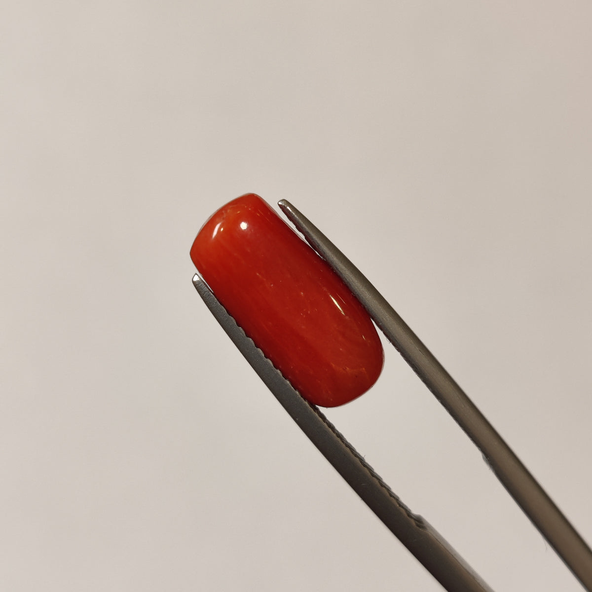 Natural Coral (Moonga) | Coral 115 | 3.89 Carat | Certified