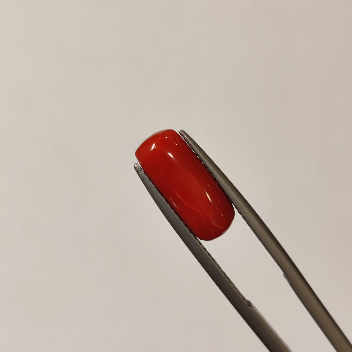 Natural Coral (Moonga) | Coral 114 | 3.93 Carat | Certified