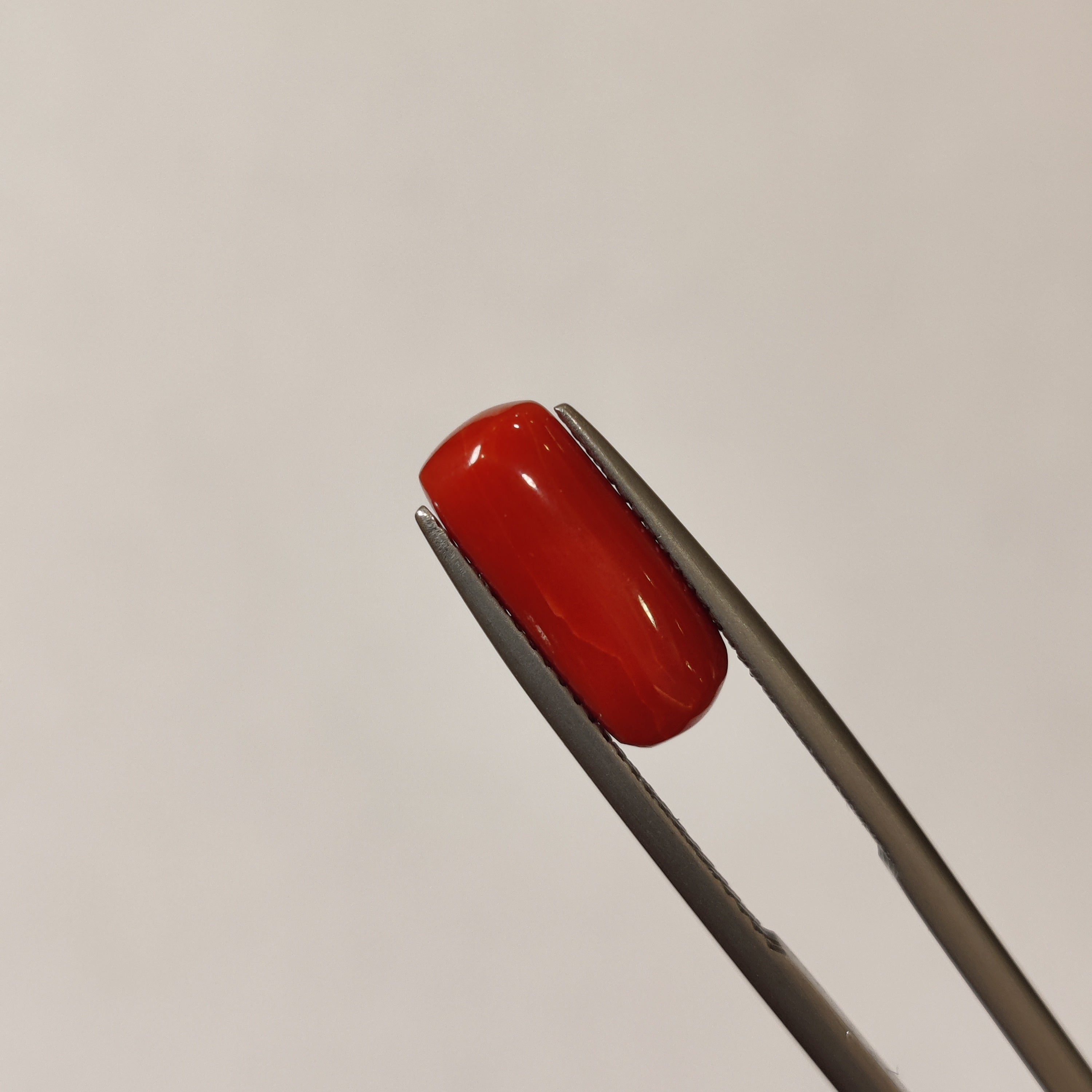 Coral | CORAL 114 | 3.93 Carat