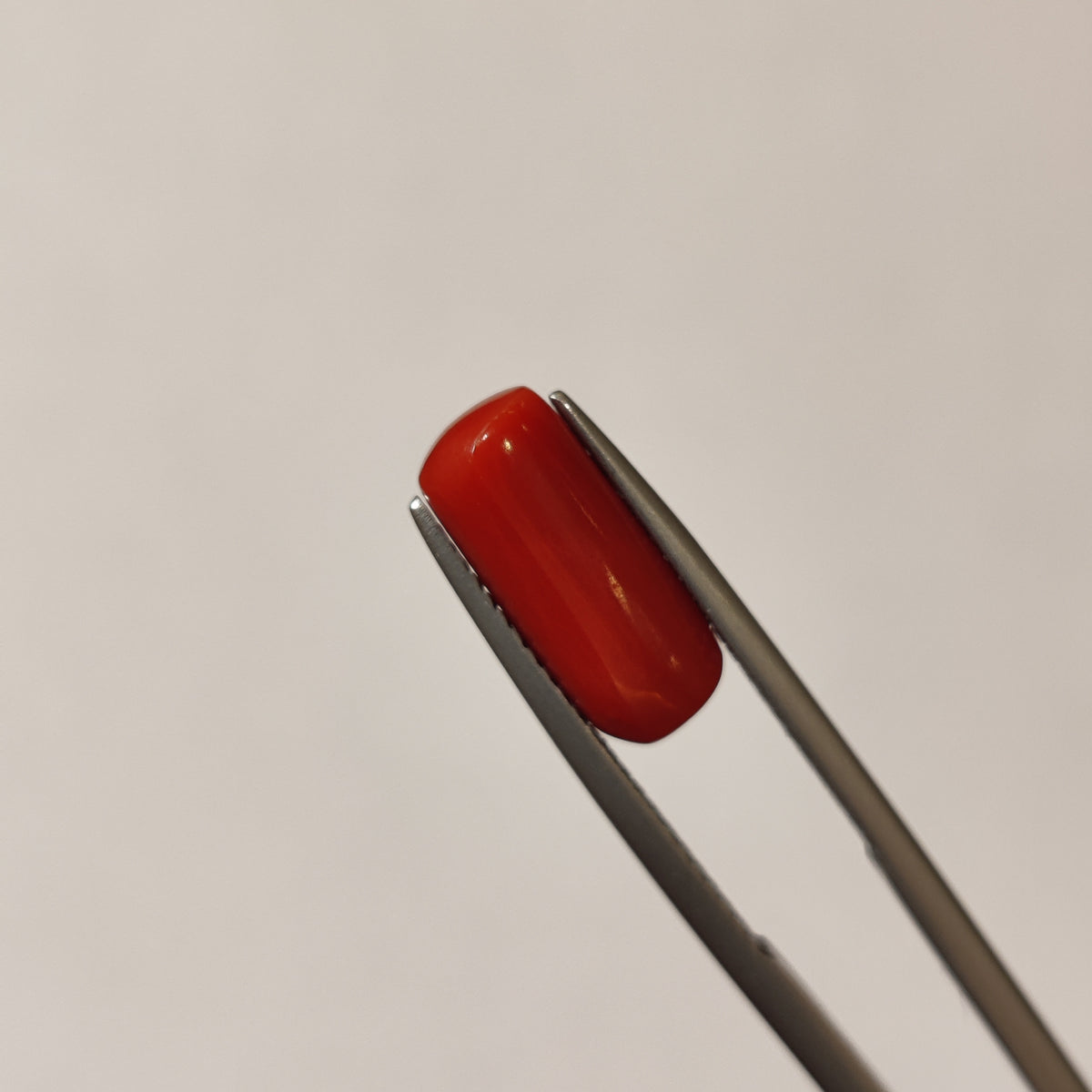 Natural Coral (Moonga) | Coral 114 | 3.93 Carat | Certified