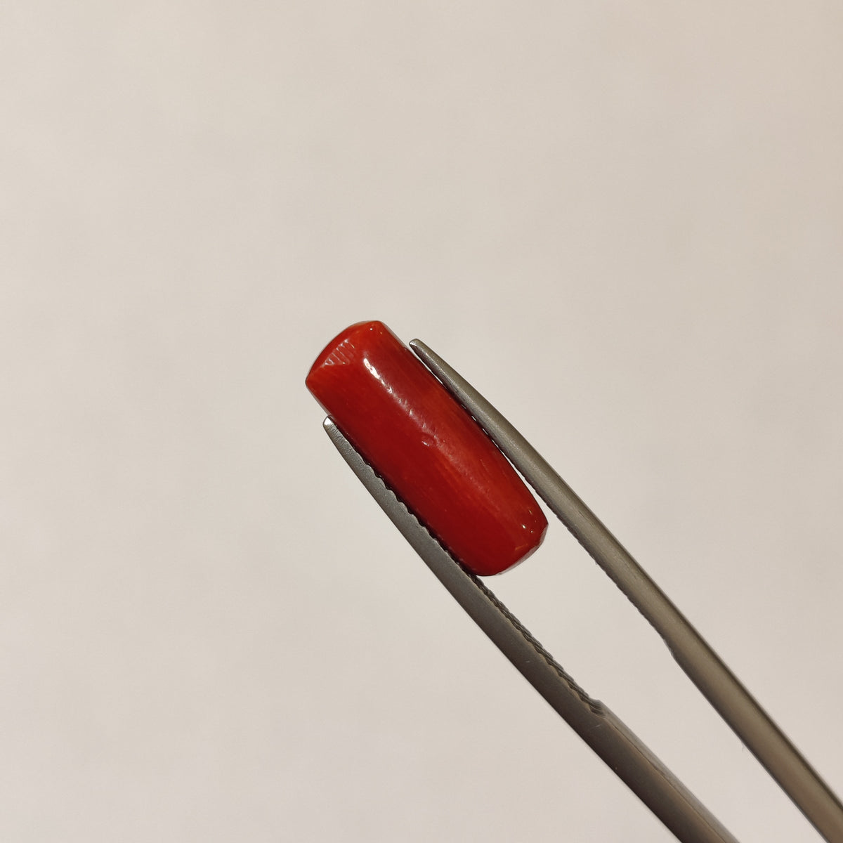 Natural Coral (Moonga) | Coral 112 | 4.06 Carat | Certified
