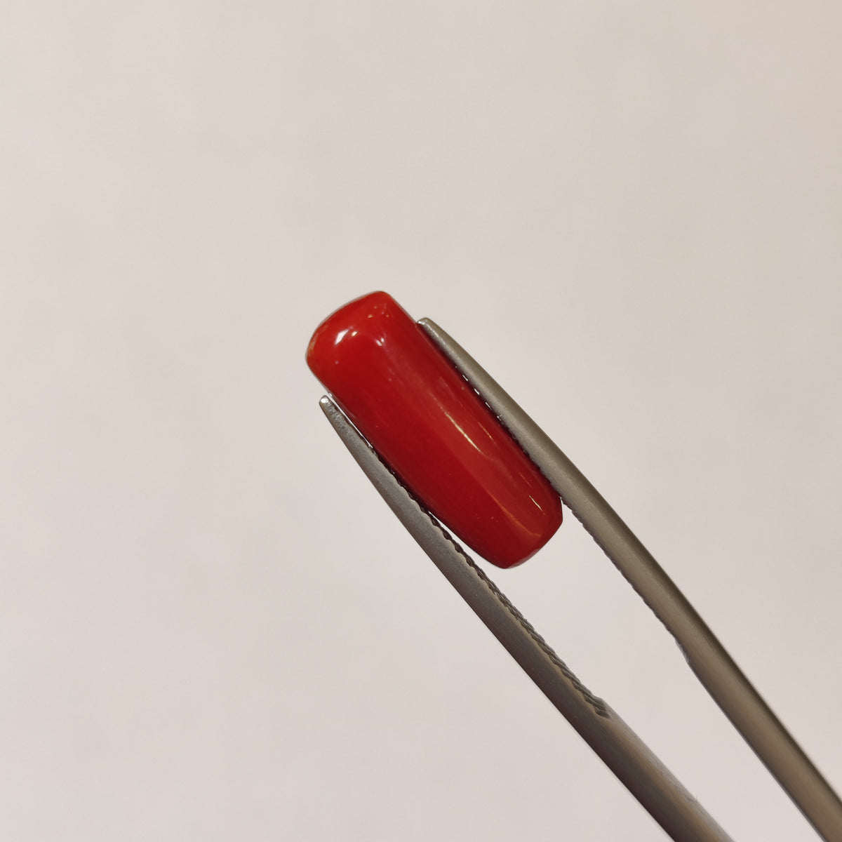 Natural Coral (Moonga) | Coral 112 | 4.06 Carat | Certified